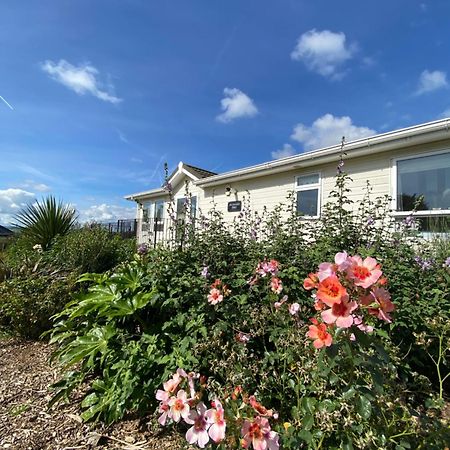 East Kitcham Lodge Launceston Buitenkant foto