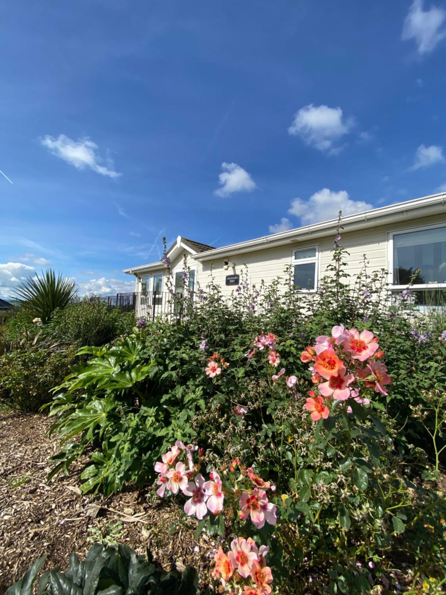 East Kitcham Lodge Launceston Buitenkant foto